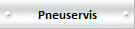 http://www.pneupospiech.cz/pneu.html
